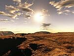 A day in the desert